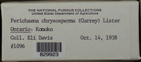 Image Associated With the Occurence